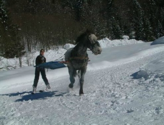  在 Ecurie des Frasses 滑雪 